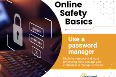 Cybersecurity - 3 password manager