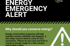 Energy Alert - Green