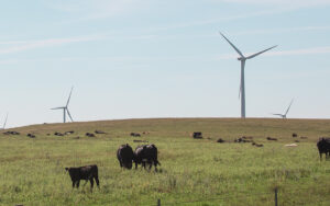 Wessington Springs Wind Energy Center in Jerauld County, SD.